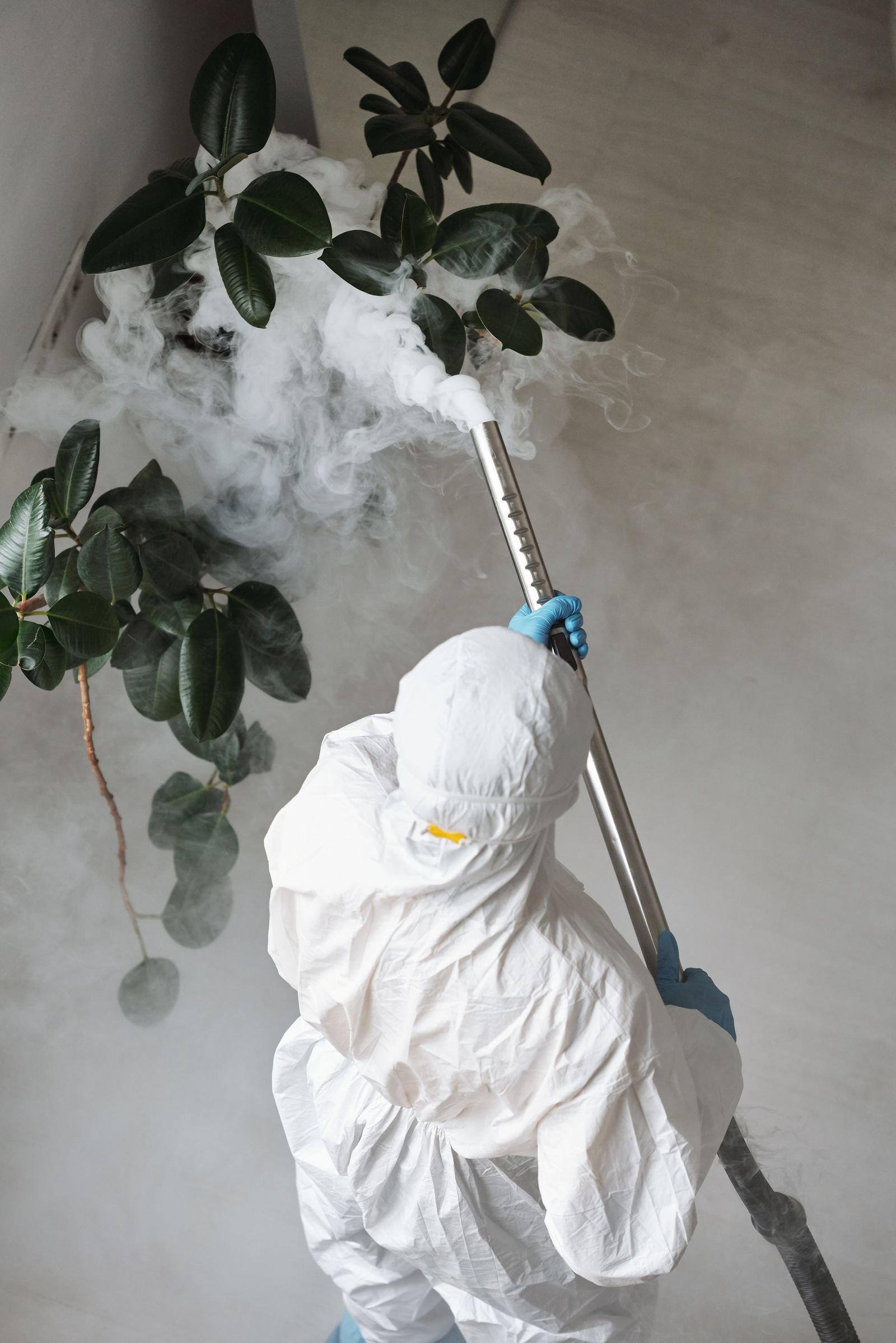 Bed bug exterminator inspecting an indoor Portland apartment